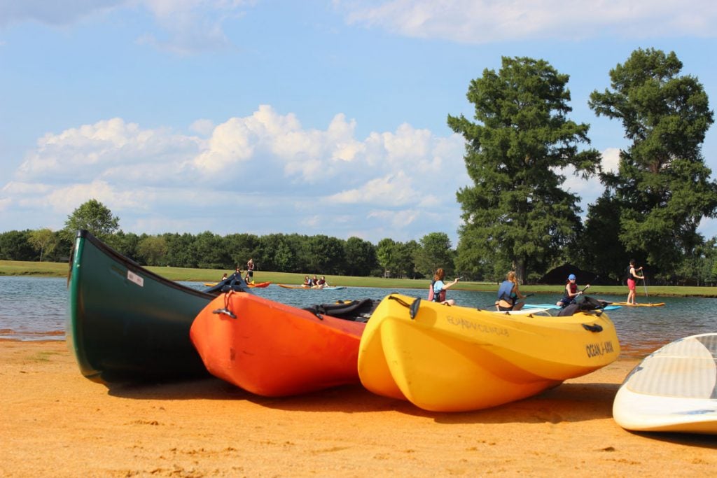 Kayaks parked on a beach