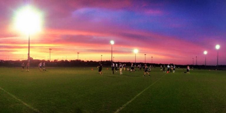 Sunset on field