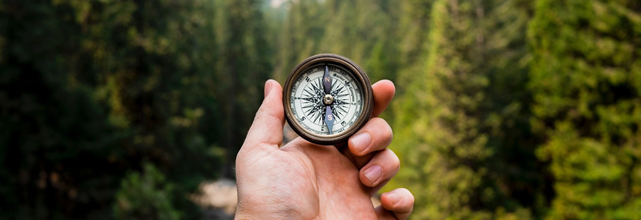 Hand with a compass, Adventure Trips - Fall 2023 Blog Cover